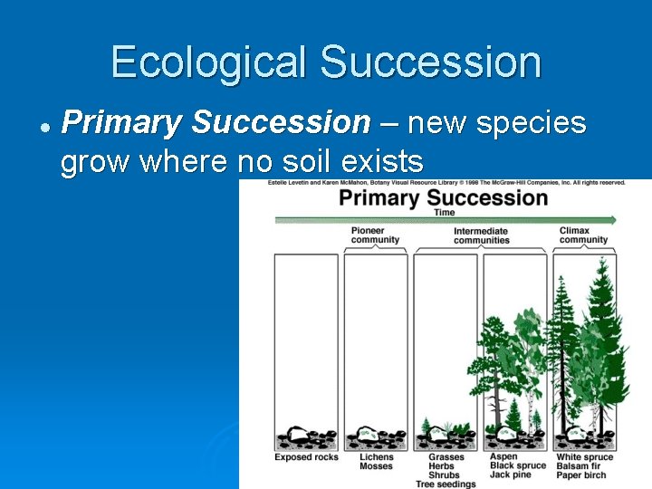 Ecological Succession l Primary Succession – new species grow where no soil exists 