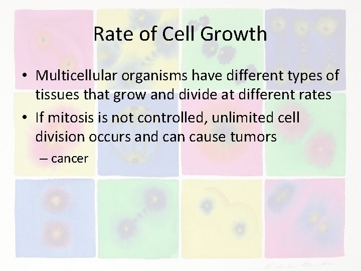 Rate of Cell Growth • Multicellular organisms have different types of tissues that grow
