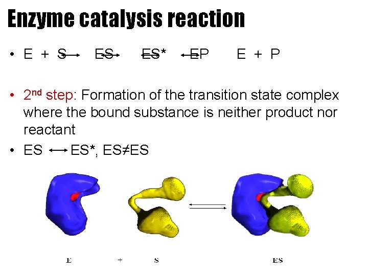 ENZYME BIOLOGICAL CATALYST Enzyme As Catalyst All enzymes