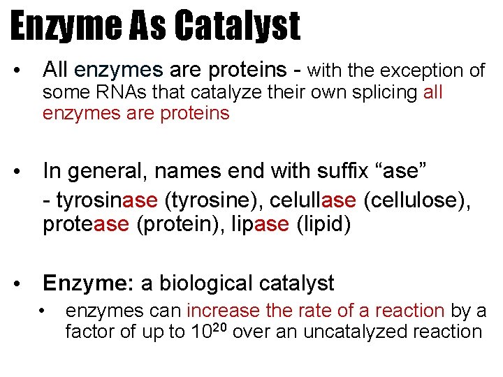 Enzyme As Catalyst • All enzymes are proteins - with the exception of some