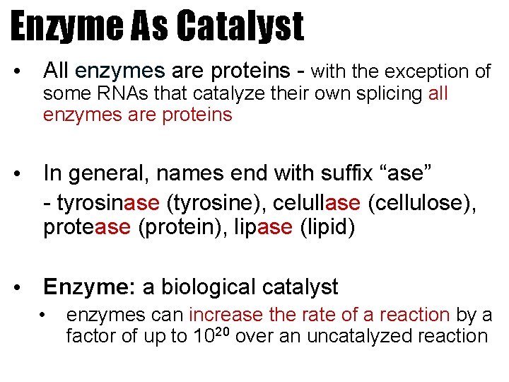 Enzyme As Catalyst • All enzymes are proteins - with the exception of some