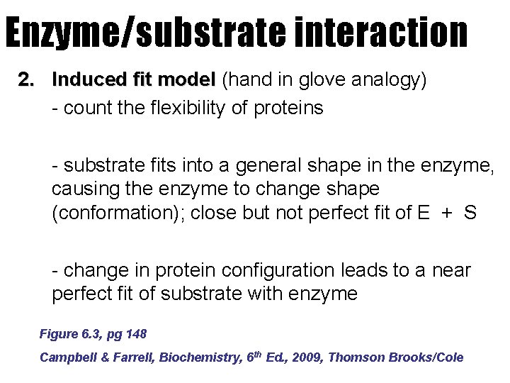 Enzyme/substrate interaction 2. Induced fit model (hand in glove analogy) - count the flexibility