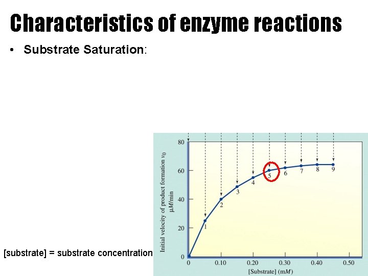 Characteristics of enzyme reactions • Substrate Saturation: [substrate] = substrate concentration 