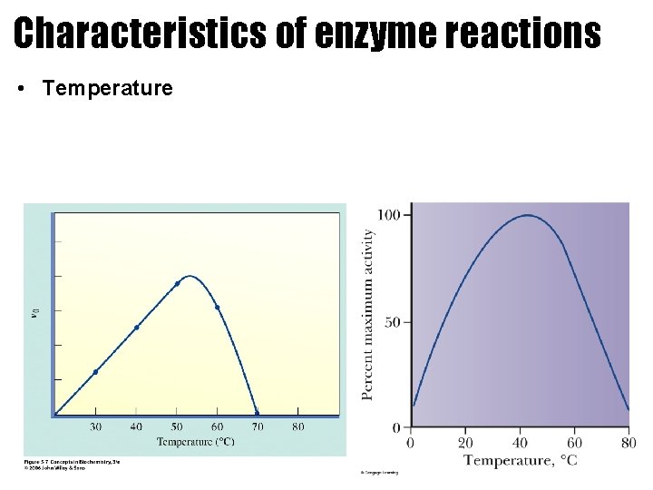 Characteristics of enzyme reactions • Temperature 
