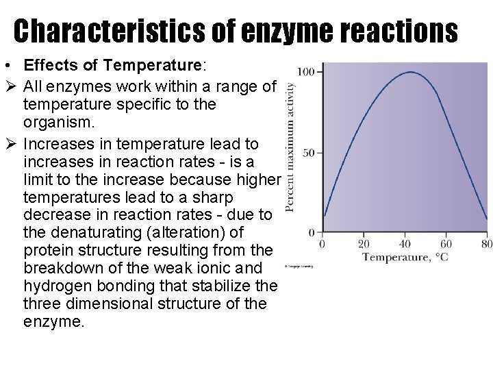 Characteristics of enzyme reactions • Effects of Temperature: Ø All enzymes work within a