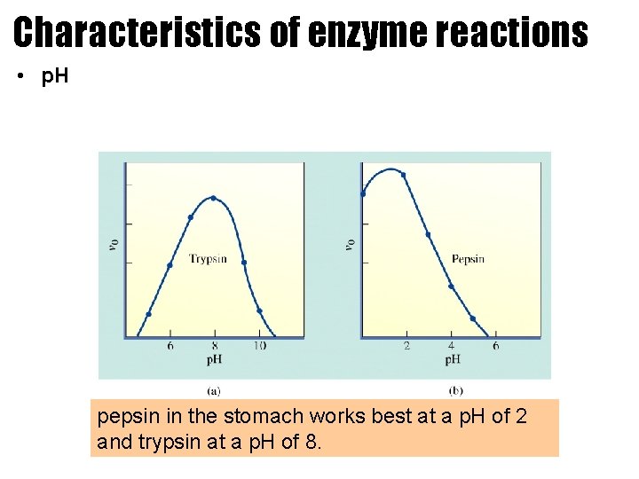 Characteristics of enzyme reactions • p. H pepsin in the stomach works best at