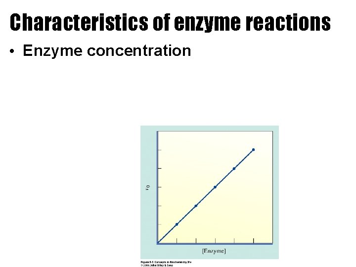 Characteristics of enzyme reactions • Enzyme concentration 