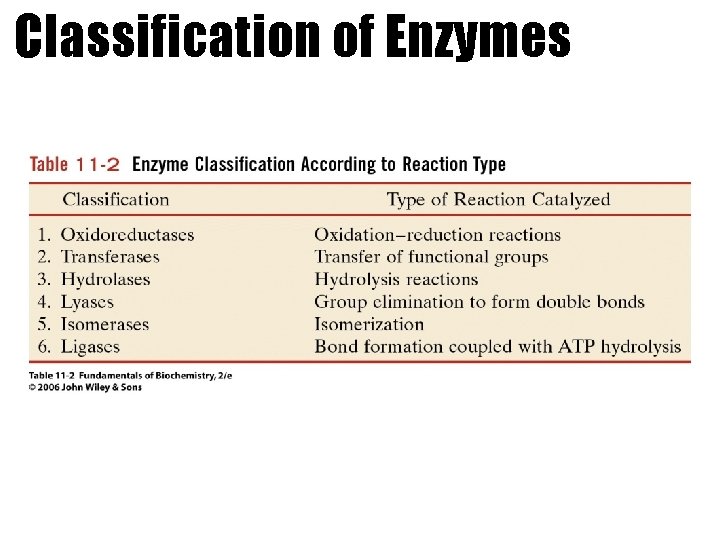 Classification of Enzymes 