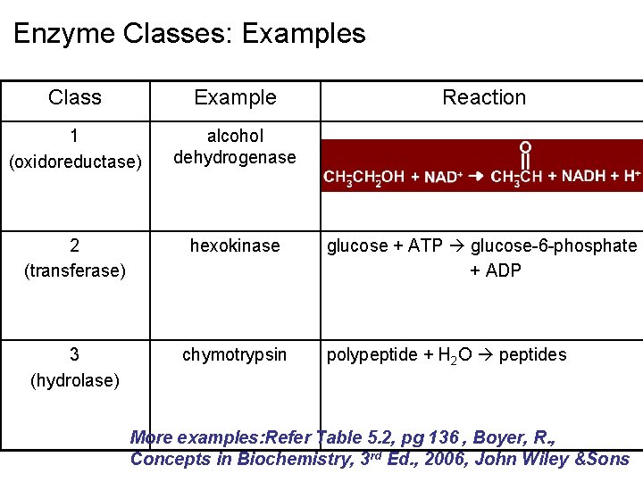 Enzyme Classes: Examples Class Example 1 (oxidoreductase) alcohol dehydrogenase 2 (transferase) hexokinase 3 (hydrolase)