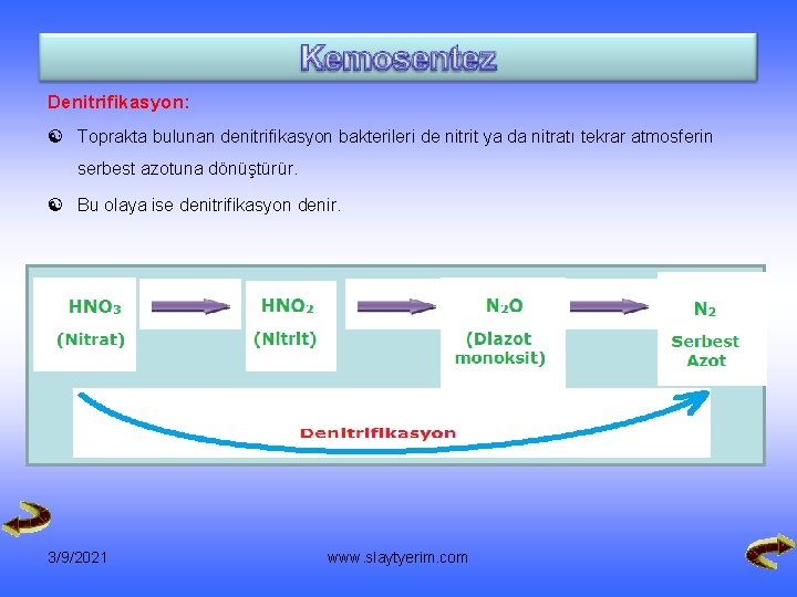 Denitrifikasyon: [ Toprakta bulunan denitrifikasyon bakterileri de nitrit ya da nitratı tekrar atmosferin serbest