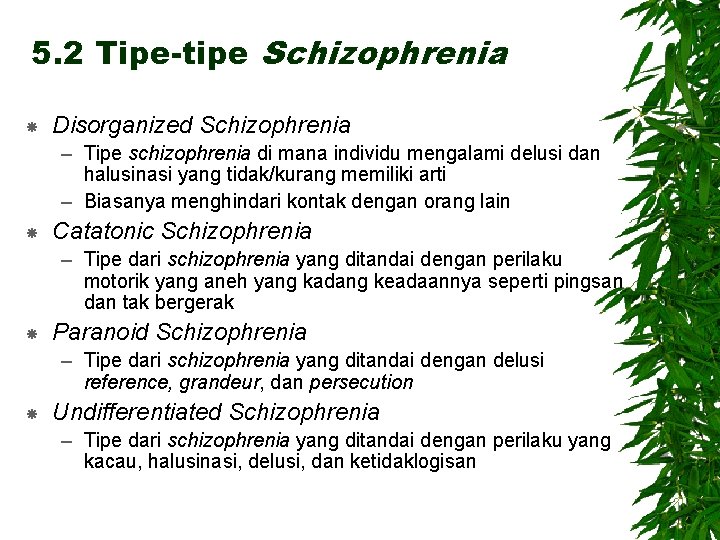 5. 2 Tipe-tipe Schizophrenia Disorganized Schizophrenia – Tipe schizophrenia di mana individu mengalami delusi