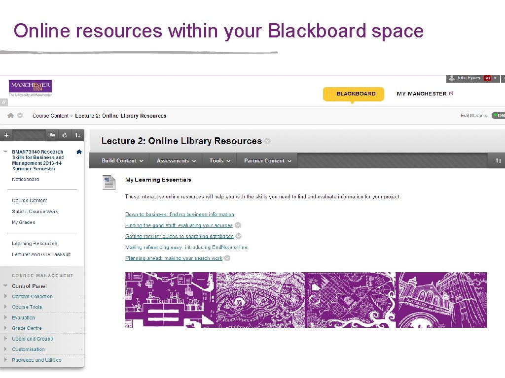 Online resources within your Blackboard space 