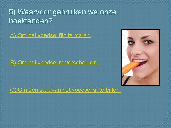 5) Waarvoor gebruiken we onze hoektanden? A) Om het voedsel fijn te malen. B)