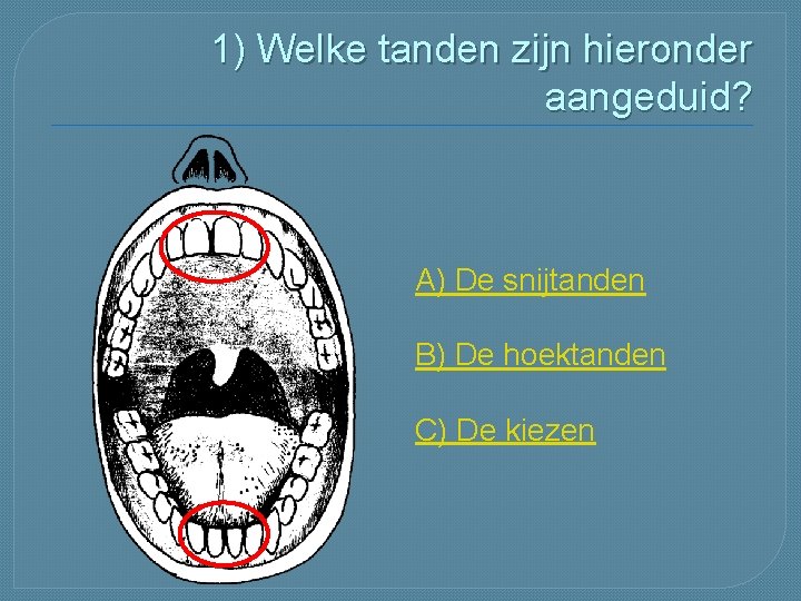 1) Welke tanden zijn hieronder aangeduid? A) De snijtanden B) De hoektanden C) De