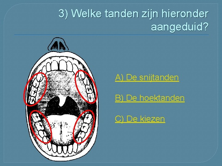 3) Welke tanden zijn hieronder aangeduid? A) De snijtanden B) De hoektanden C) De