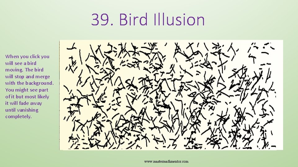 39. Bird Illusion When you click you will see a bird moving. The bird