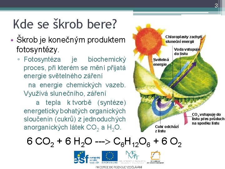 3 Kde se škrob bere? • Škrob je konečným produktem fotosyntézy. ▫ Fotosyntéza je