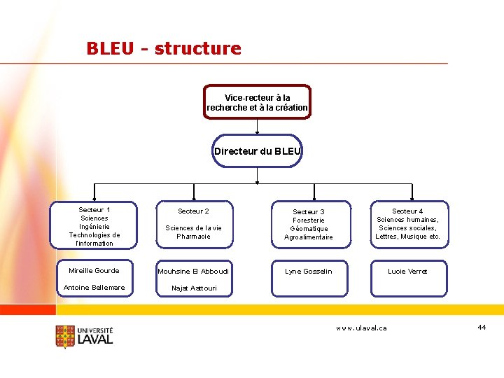 BLEU - structure Vice-recteur à la recherche et à la création Directeur du BLEU