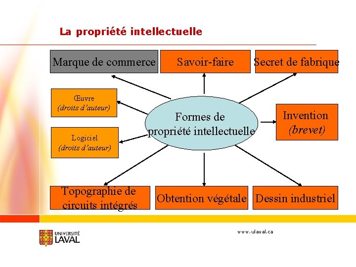 La propriété intellectuelle Marque de commerce Œuvre (droits d’auteur) Logiciel (droits d’auteur) Topographie de