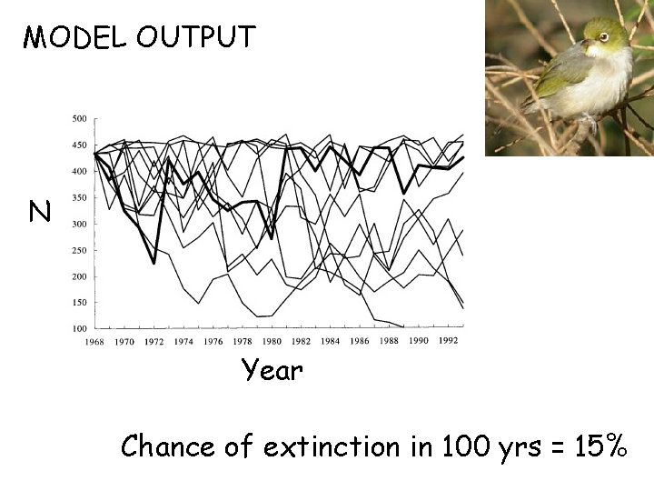 MODEL OUTPUT N Year Chance of extinction in 100 yrs = 15% 