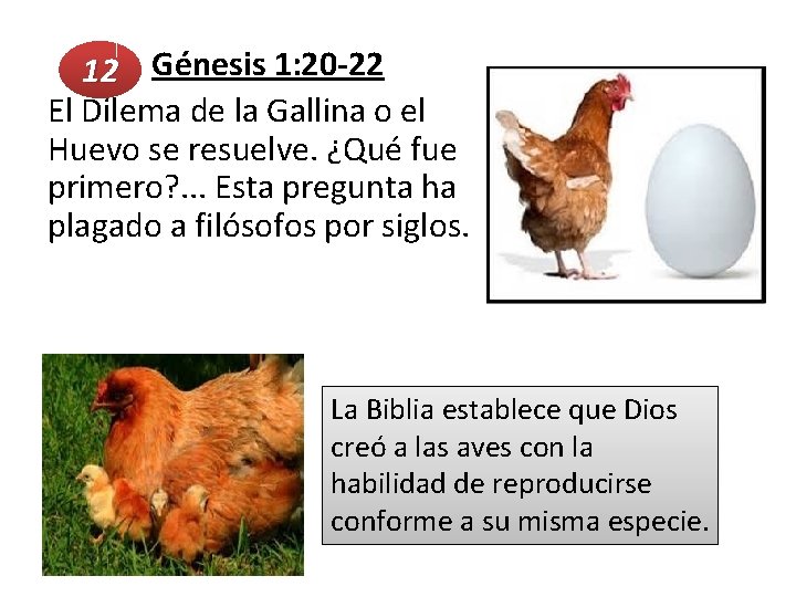  Génesis 1: 20 -22 12 El Dilema de la Gallina o el Huevo