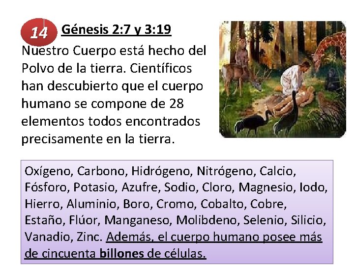  Génesis 2: 7 y 3: 19 14 Nuestro Cuerpo está hecho del Polvo