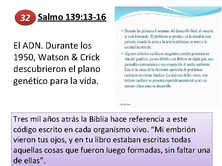  Salmo 139: 13 -16 32 El ADN. Durante los 1950, Watson & Crick