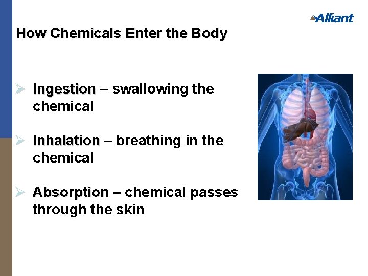 How Chemicals Enter the Body Ø Ingestion – swallowing the chemical Ø Inhalation –