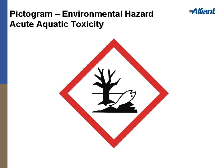 Pictogram – Environmental Hazard Acute Aquatic Toxicity 