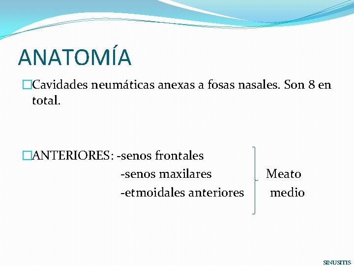ANATOMÍA �Cavidades neumáticas anexas a fosas nasales. Son 8 en total. �ANTERIORES: -senos frontales