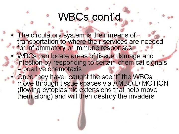 WBCs cont’d • The circulatory system is their means of transportation to where their