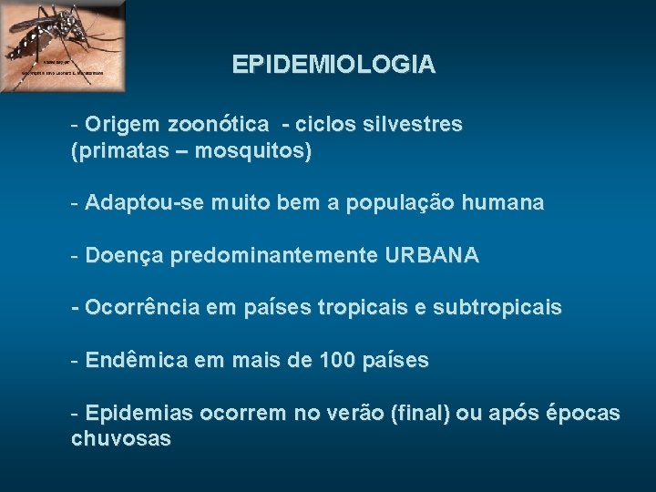EPIDEMIOLOGIA - Origem zoonótica - ciclos silvestres (primatas – mosquitos) - Adaptou-se muito bem