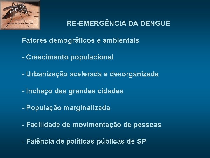 RE-EMERGÊNCIA DA DENGUE Fatores demográficos e ambientais - Crescimento populacional - Urbanização acelerada e