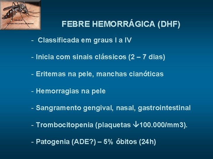 FEBRE HEMORRÁGICA (DHF) - Classificada em graus I a IV - Inicia com sinais