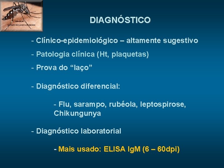 DIAGNÓSTICO - Clínico-epidemiológico – altamente sugestivo - Patologia clínica (Ht, plaquetas) - Prova do