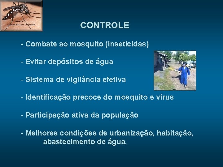 CONTROLE - Combate ao mosquito (inseticidas) - Evitar depósitos de água - Sistema de