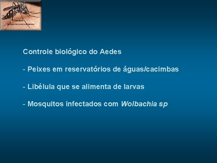 Controle biológico do Aedes - Peixes em reservatórios de águas/cacimbas - Libélula que se
