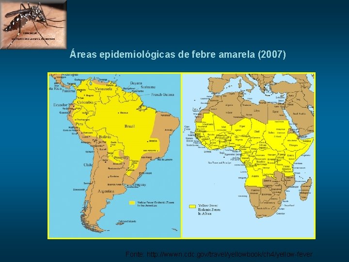 Áreas epidemiológicas de febre amarela (2007) Fonte: http: //wwwn. cdc. gov/travel/yellowbook/ch 4/yellow-fever 