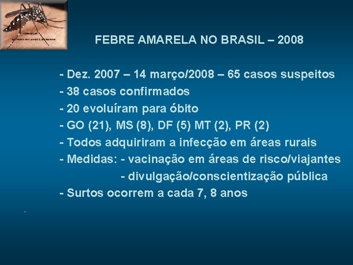 FEBRE AMARELA NO BRASIL – 2008 - Dez. 2007 – 14 março/2008 – 65