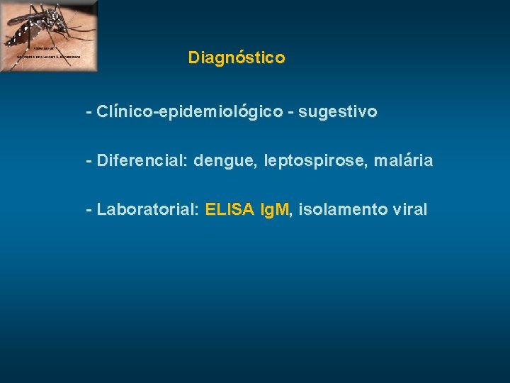 Diagnóstico - Clínico-epidemiológico - sugestivo - Diferencial: dengue, leptospirose, malária - Laboratorial: ELISA Ig.