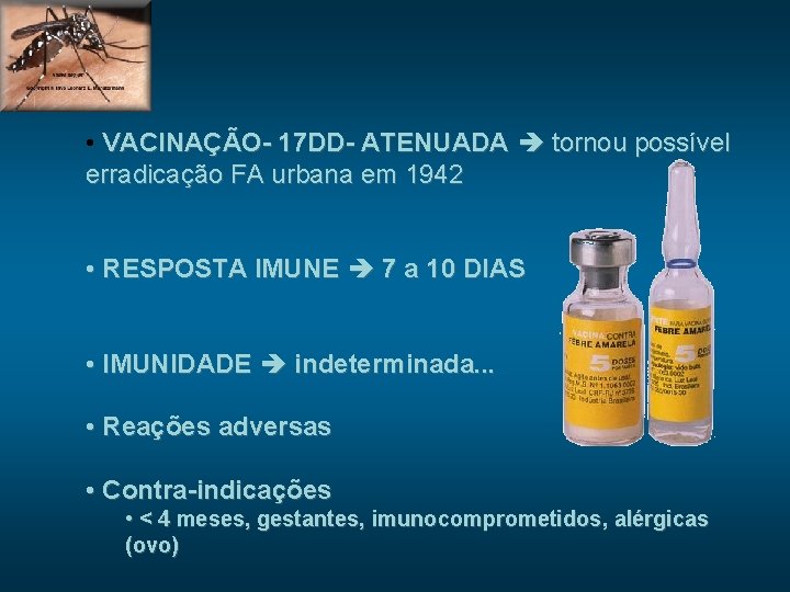  • VACINAÇÃO- 17 DD- ATENUADA tornou possível erradicação FA urbana em 1942 •