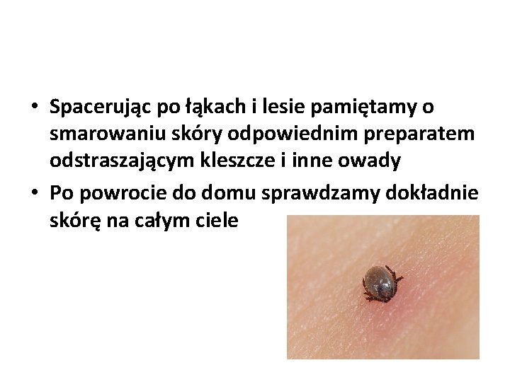  • Spacerując po łąkach i lesie pamiętamy o smarowaniu skóry odpowiednim preparatem odstraszającym