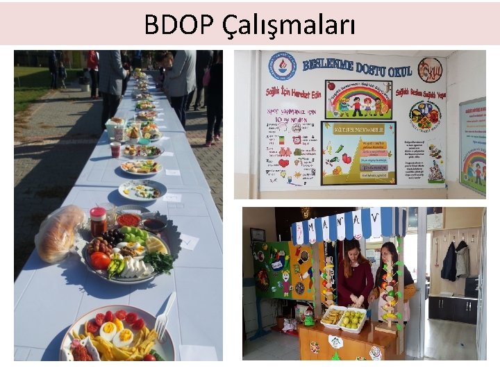 BDOP Çalışmaları 