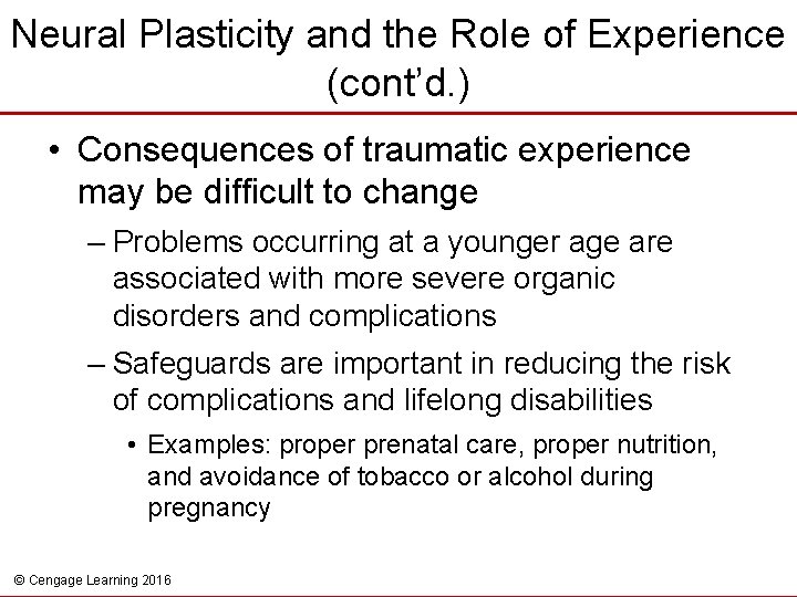 Neural Plasticity and the Role of Experience (cont’d. ) • Consequences of traumatic experience