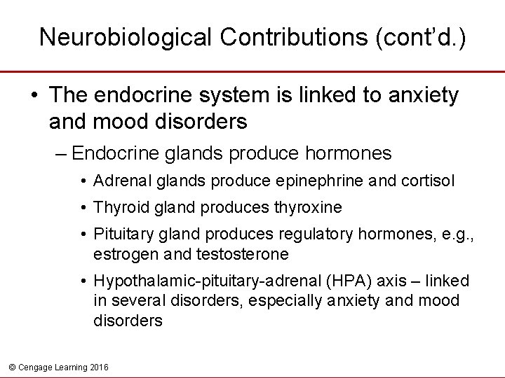 Neurobiological Contributions (cont’d. ) • The endocrine system is linked to anxiety and mood