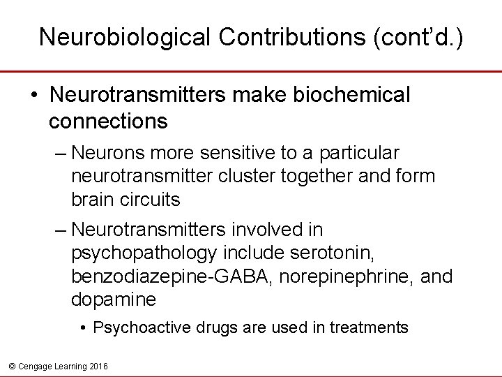 Neurobiological Contributions (cont’d. ) • Neurotransmitters make biochemical connections – Neurons more sensitive to