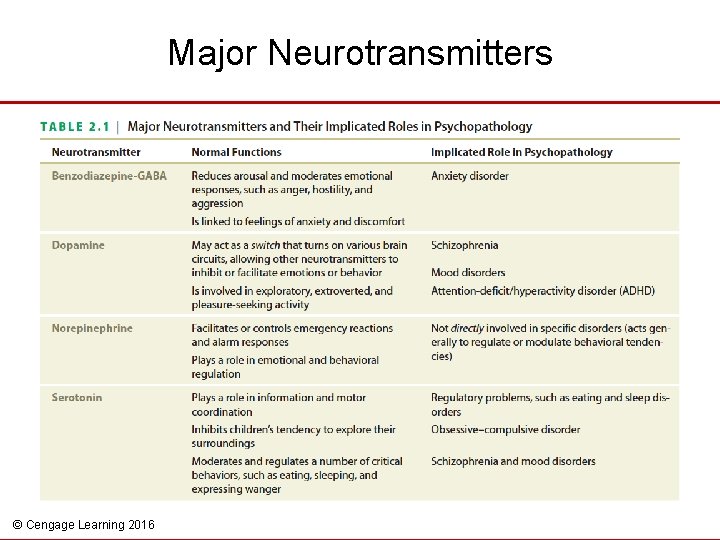 Major Neurotransmitters © Cengage Learning 2016 