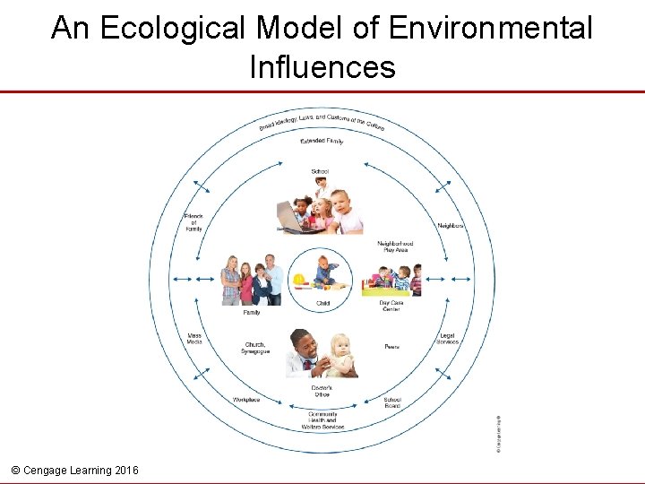 An Ecological Model of Environmental Influences © Cengage Learning 2016 