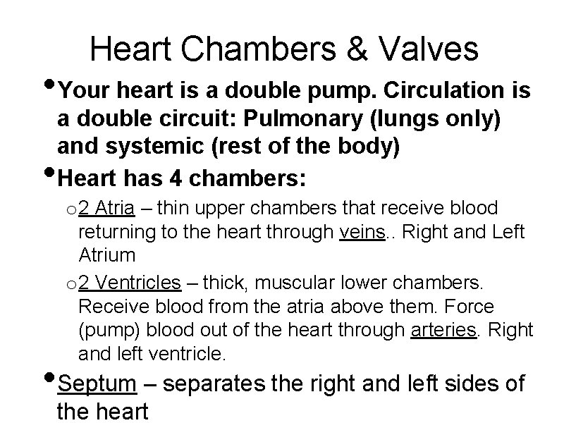 Heart Chambers & Valves • Your heart is a double pump. Circulation is •