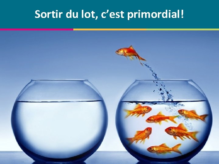 Sortir du lot, c’est primordial! © Centre de compétence Forem Tourisme – Tous droits